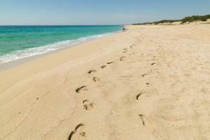 46 spiaggia Campomarino